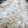 2025 white crimpy locks - Alpaca  Fleece ~ Jacilee - Image 2