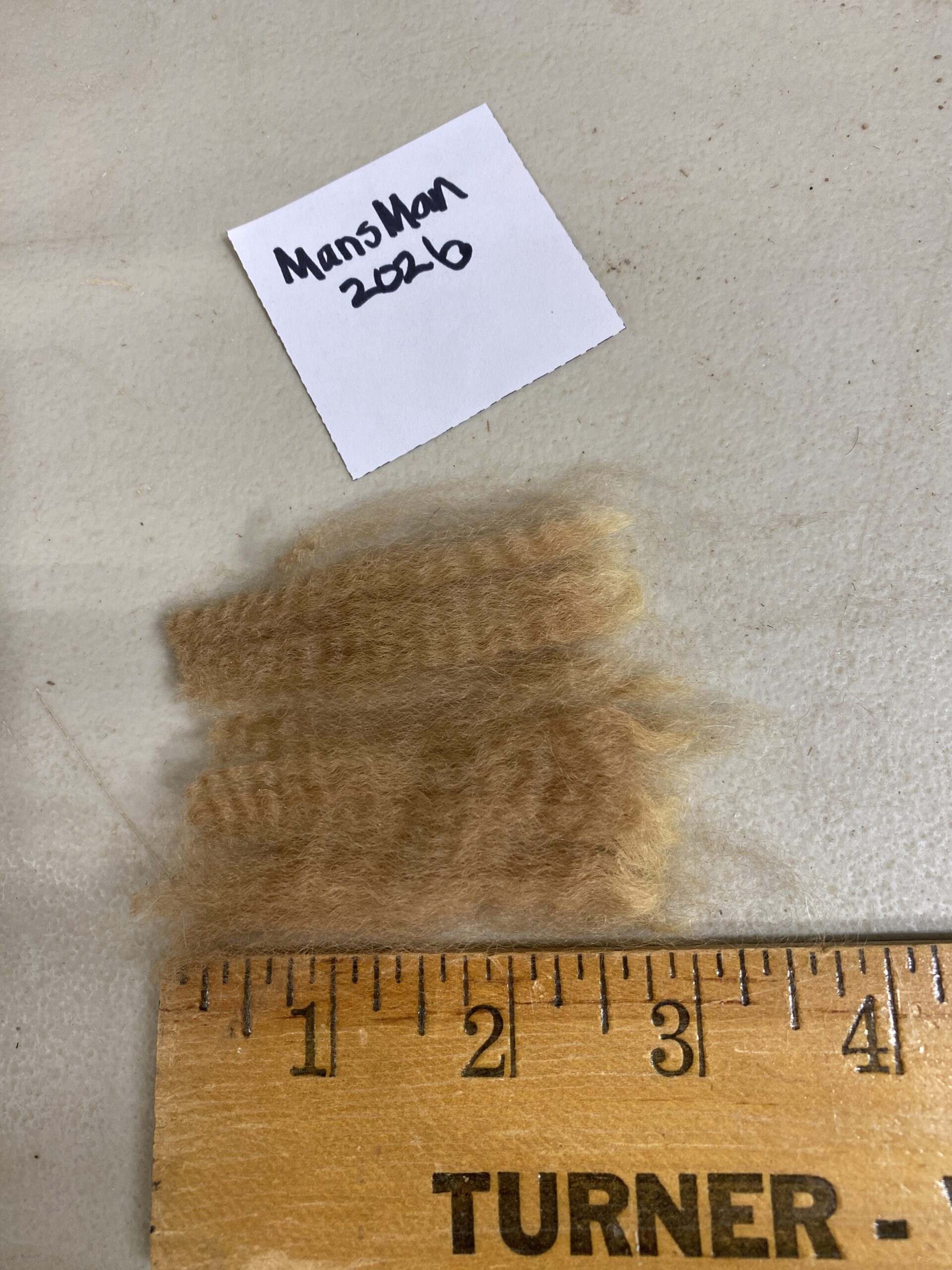 Reserve 2027- Dark Fawn - Alpaca Fleece ~ Mans Man - Image 2
