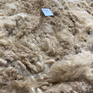 2026 Dark Fawn - Alpaca Fleece ~ Mans Man