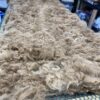 2024 Dark Fawn - Alpaca  Fleece ~ Mans Man - Image 5