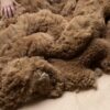 2024 SALE Fawn - Alpaca  Fleece ~ Mans Man - Image 4