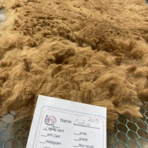 2025 Dark Fawn - Alpaca  Fleece ~ Cookie