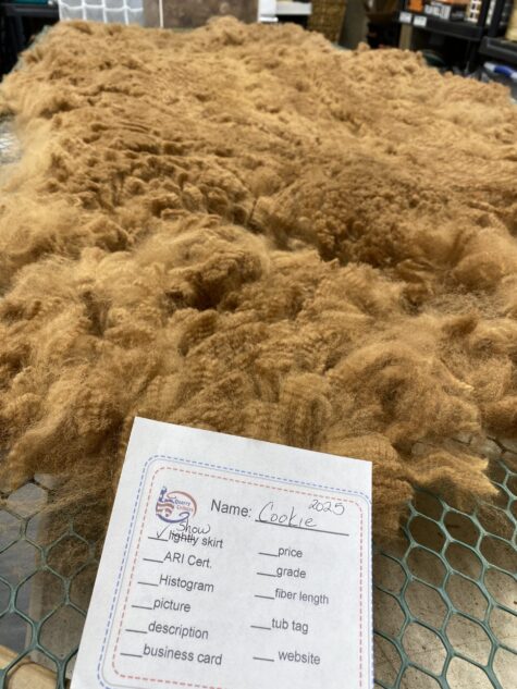 2025 Dark Fawn - Alpaca  Fleece ~ Cookie