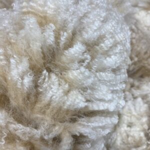 Reserve 2027 white crimpy locks - Alpaca Fleece ~ Bellflower