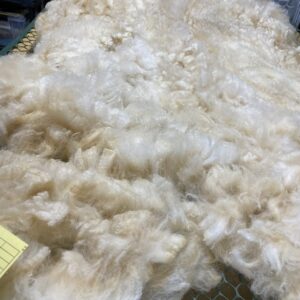 Reserve 2027 ~ White Alpaca Fleece ~ Oona