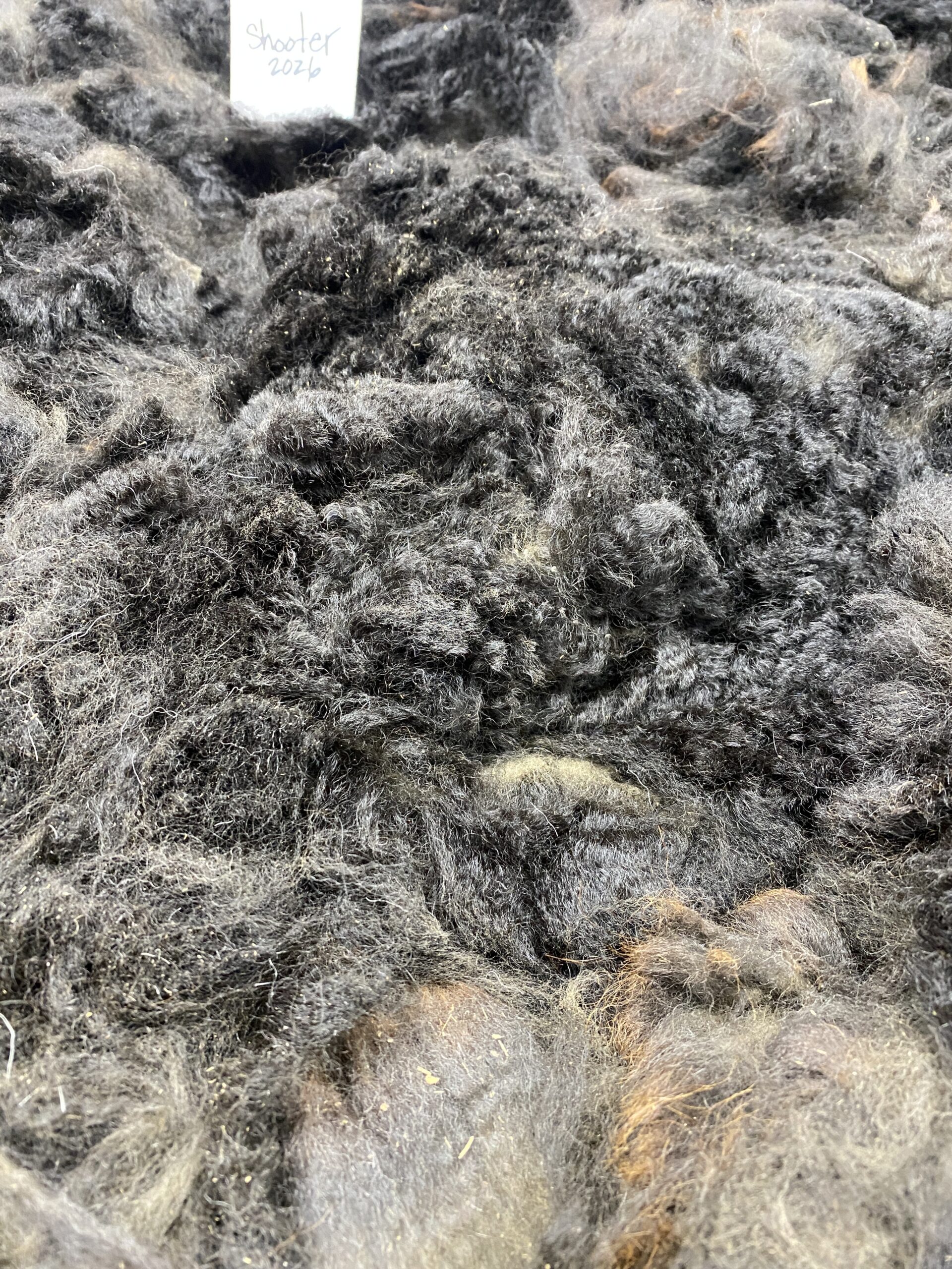 2026~ Cria coat, Black - Alpaca Fleece ~ Samantha