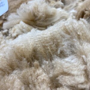 2026 ~ Med Fawn - Alpaca Fleece ~ Roxanne