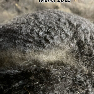 2025 True Black Alpaca Fleece (Monet)