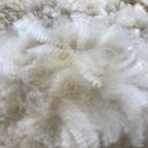 2025 white crimpy locks - Alpaca  Fleece ~ Kassandra