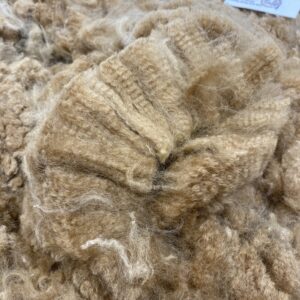 2025 Med Fawn - Alpaca  Fleece ~ Roxanne
