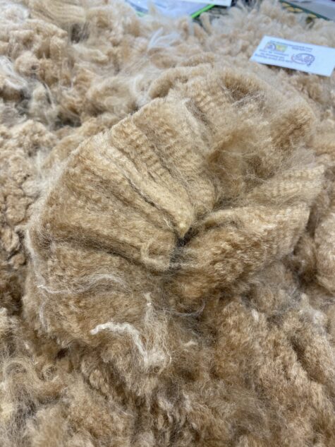 2025 Med Fawn - Alpaca  Fleece ~ Roxanne