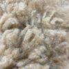 2025 Med Fawn - Alpaca  Fleece ~ Roxanne - Image 3