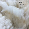 SOLD ~ 2025 White Alpaca Fleece~ Finn - Image 4