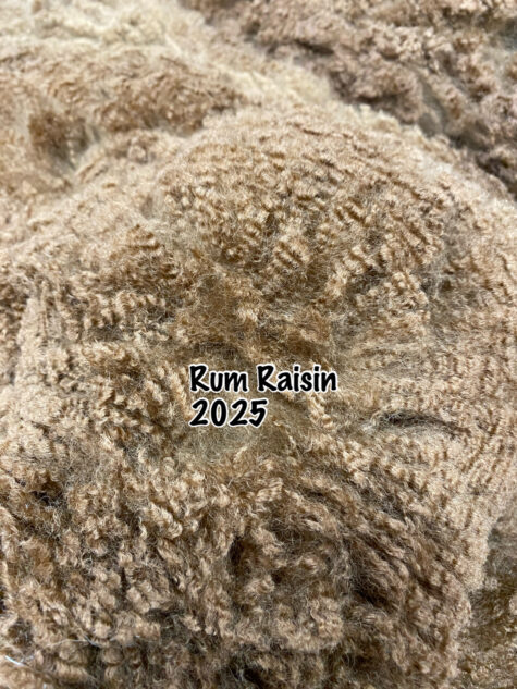 SOLD ~ 2025 Dark Fawn - Alpaca  Fleece ~ Rum Raisin