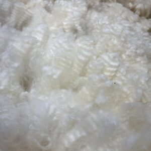 Alpaca Fleece