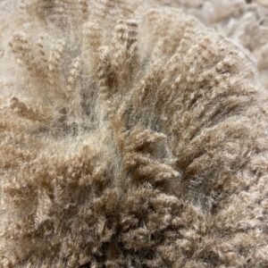 Reserve 2027~ Dark Fawn - Alpaca Fleece ~ Rum Raisin