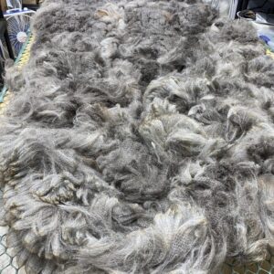 Reserve 2027 Medium Silver Grey Fleece - Spitz