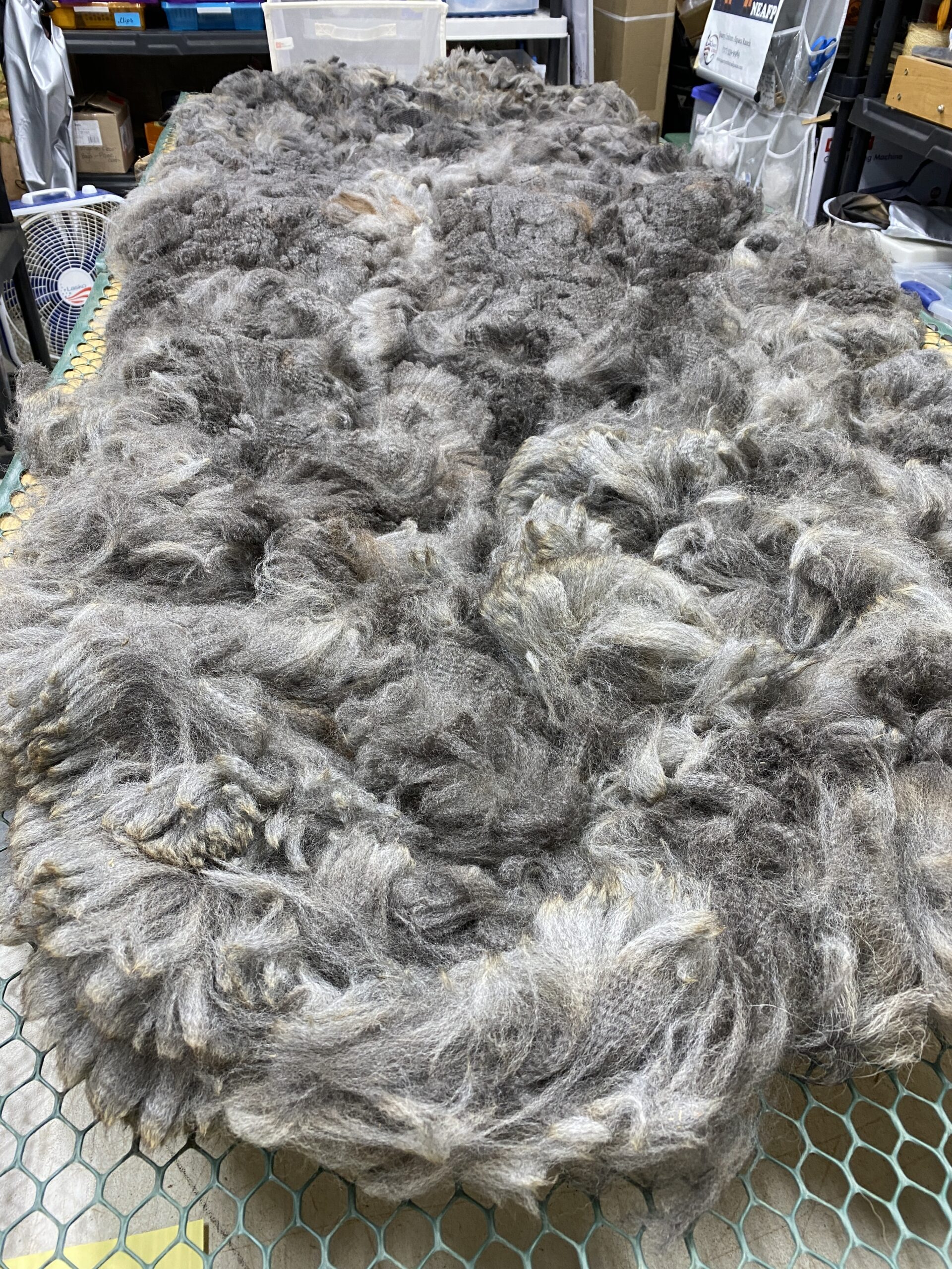 Reserve 2027 Medium Silver Grey Fleece - Spitz