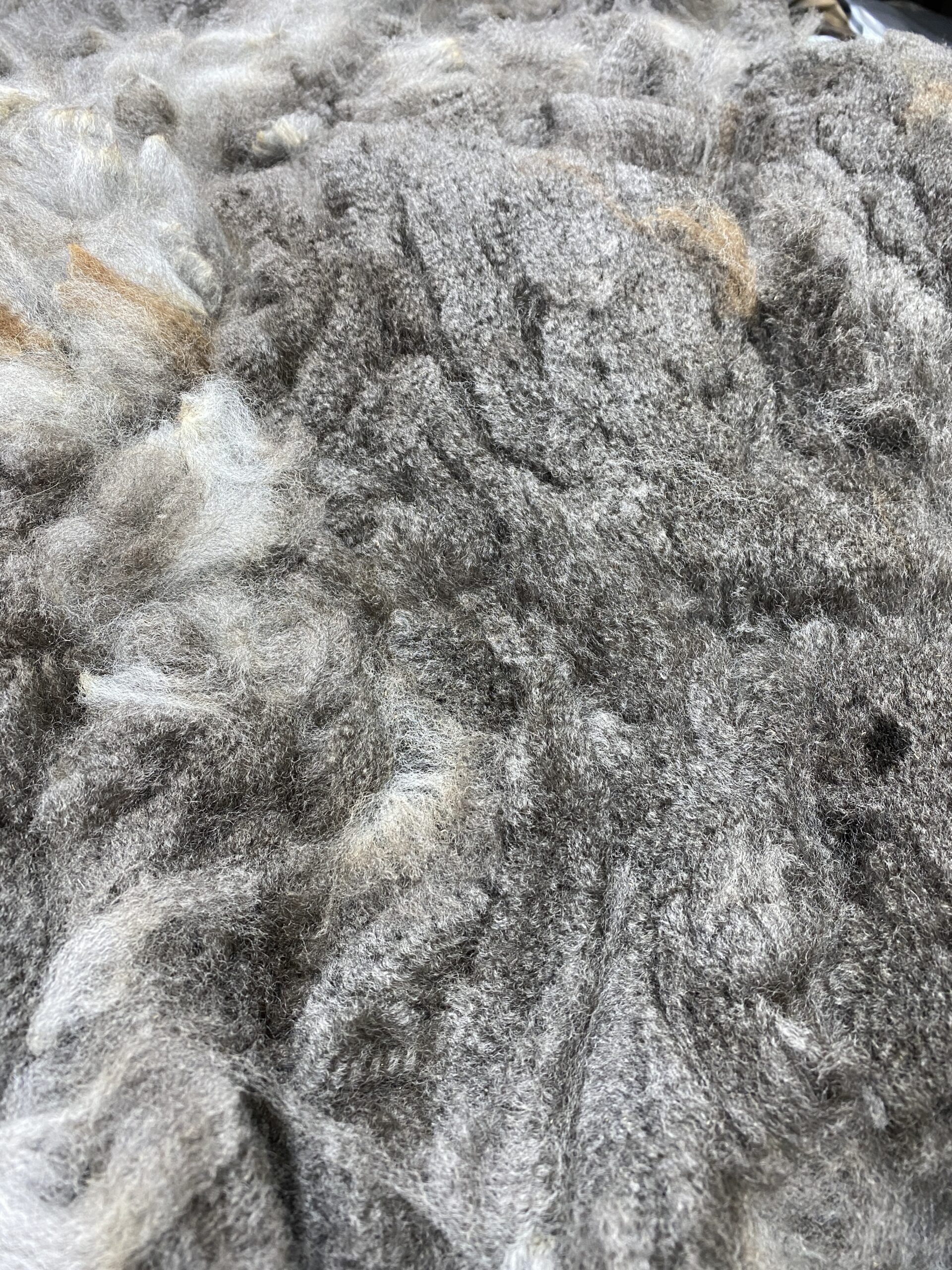 Reserve 2027 Medium Silver Grey Fleece - Spitz - Image 4