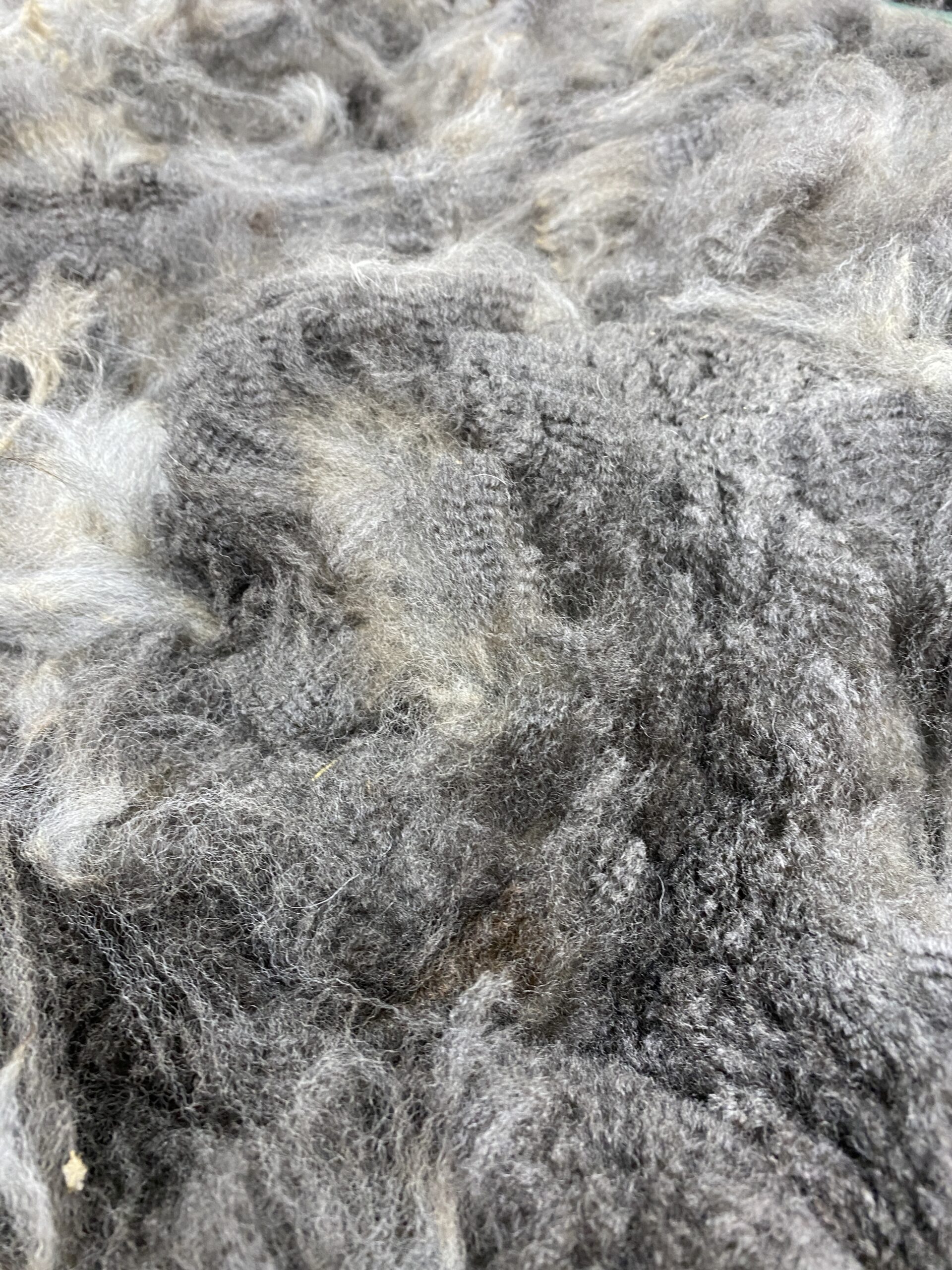 Reserve 2027 Medium Silver Grey Fleece - Spitz - Image 5