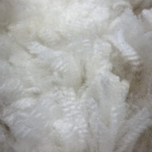 Reserve 2027 White Alpaca Fleece - Finn