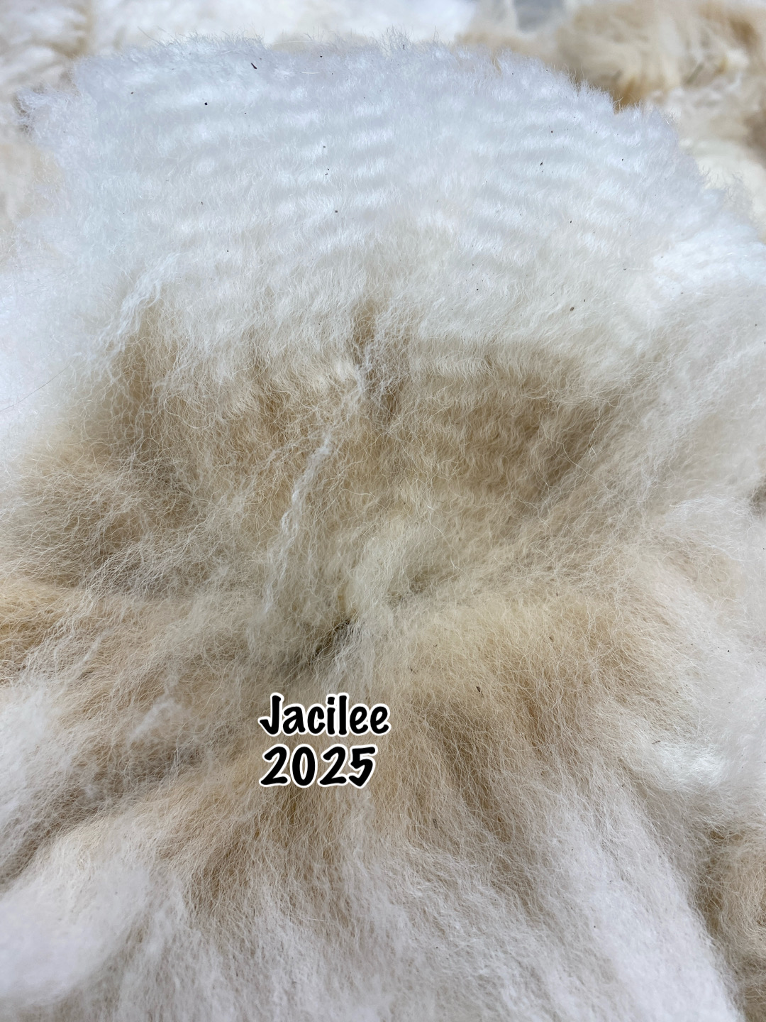 Quarry Critters Jacilee - Image 7