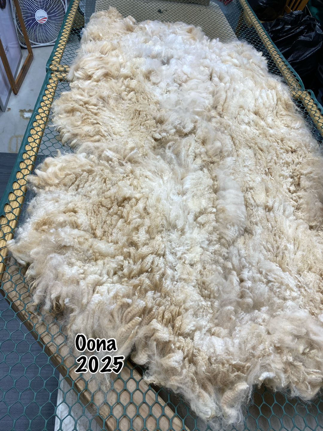 Quarry Critters Oona - Image 4