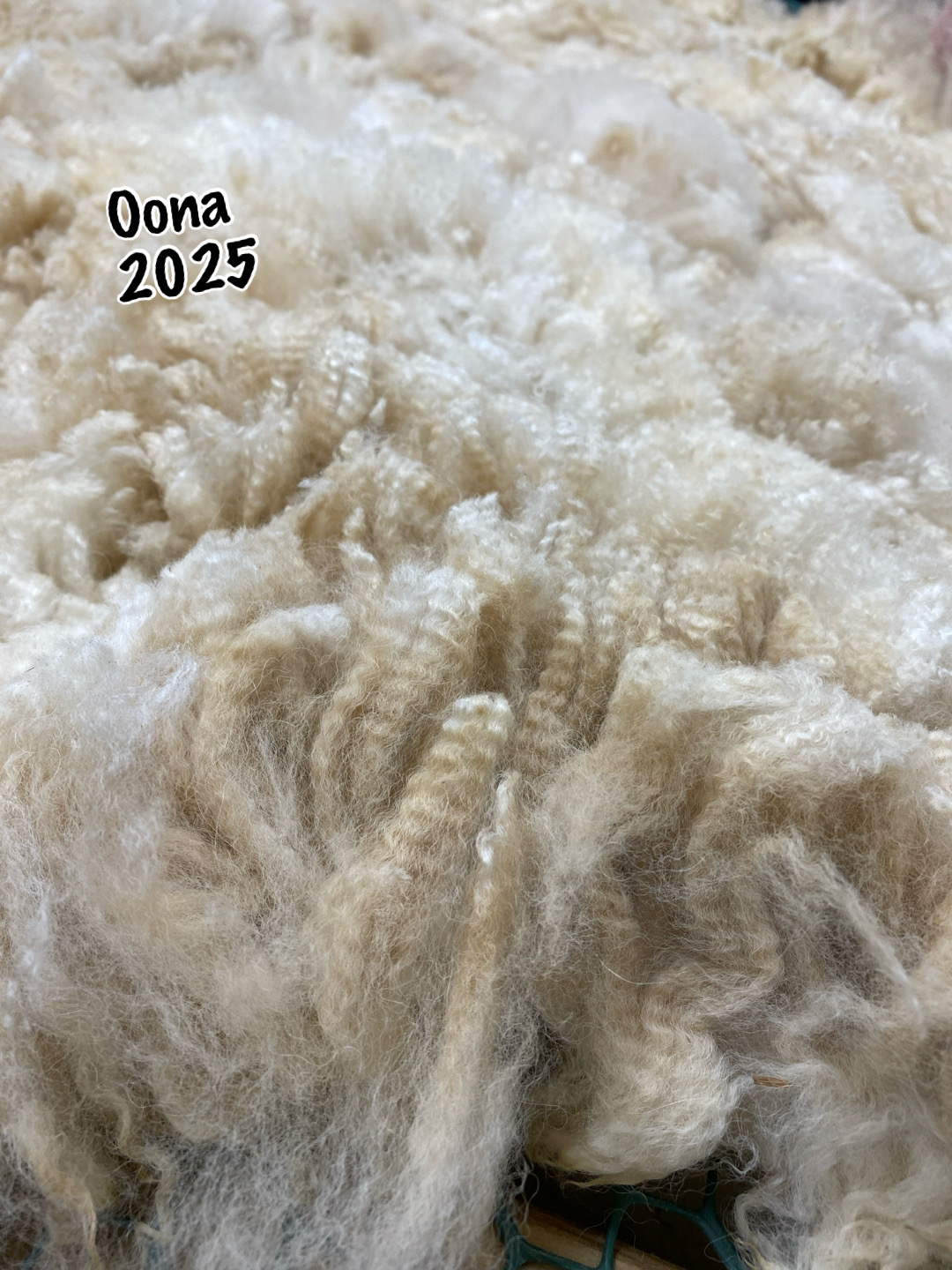 Quarry Critters Oona - Image 5