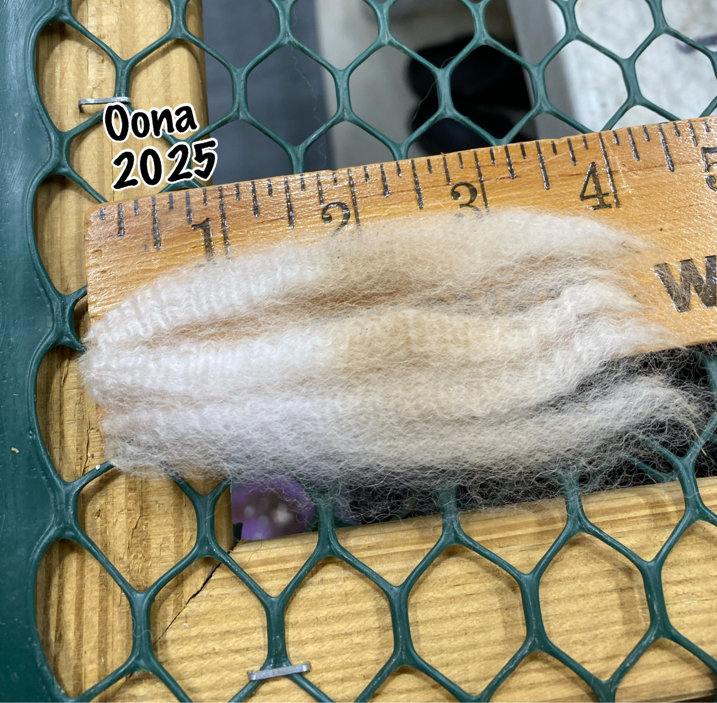 Quarry Critters Oona - Image 6