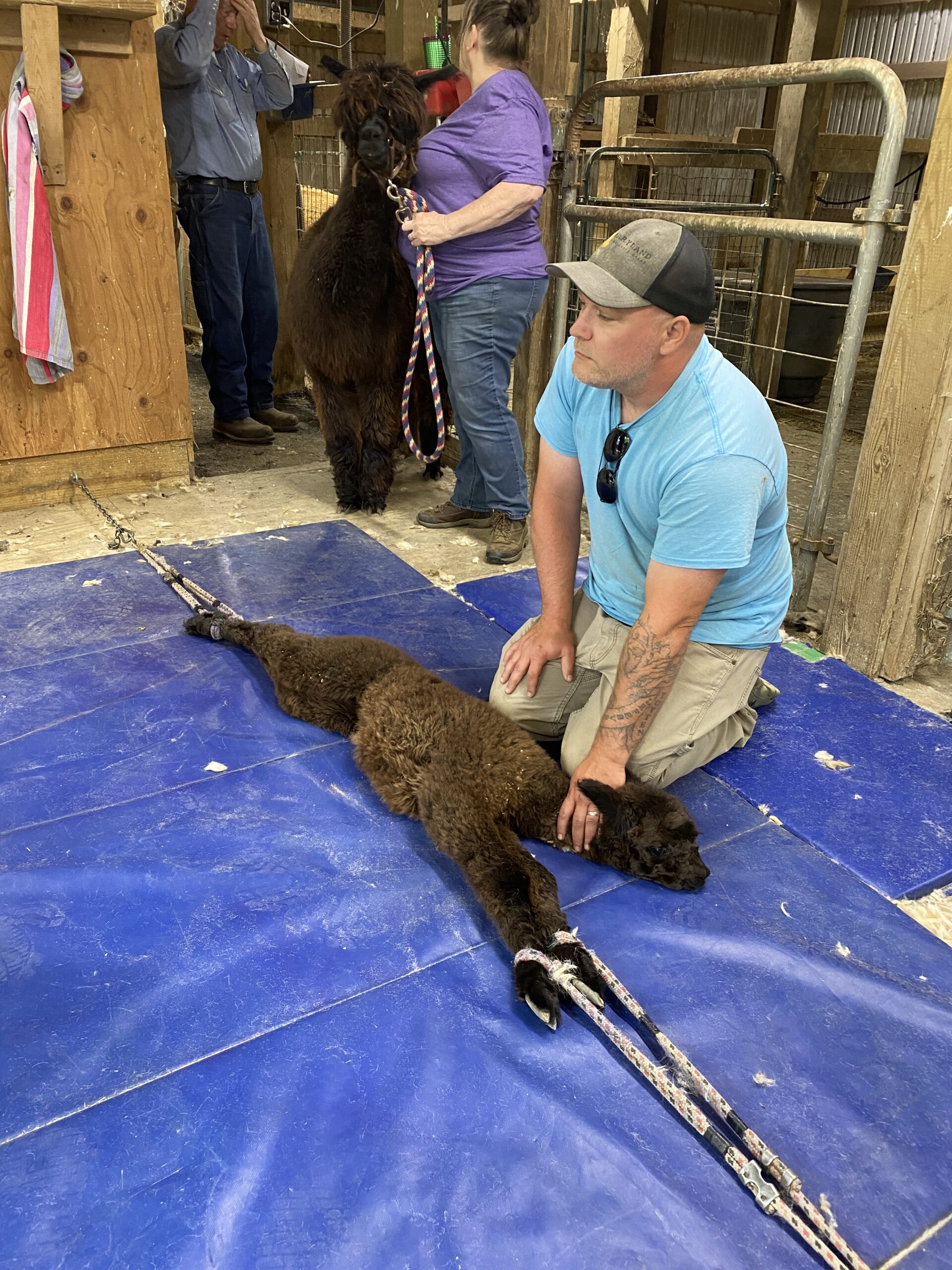 Quarry Critters Samantha - Image 5