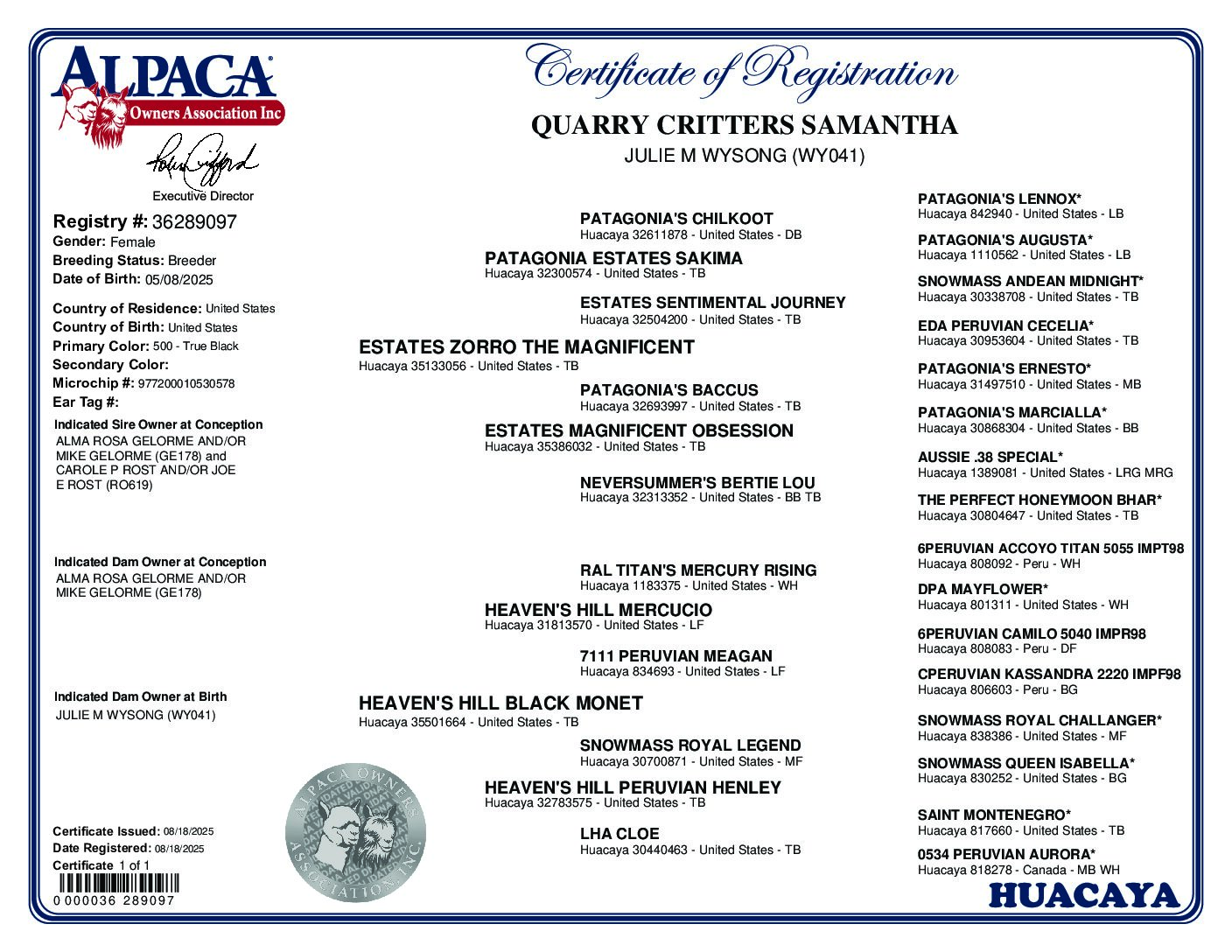 Quarry Critters Samantha - Image 4