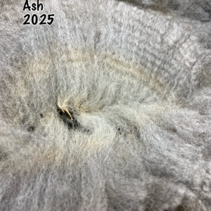 2026 Medium Silver Grey Fleece - Ash