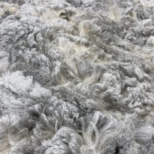 2026 Medium Silver Grey Fleece - Ash