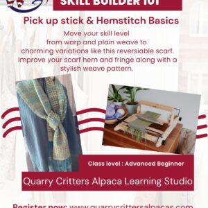 Rigid Heddle Skill Builder 101