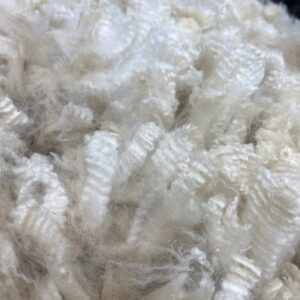 2026~ Cria coat, white shiny crimpy locks - Alpaca  Fleece ~ Tom Triumphant
