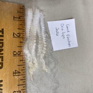 2026~ Cria coat, white zipper like locks - Alpaca  Fleece ~ Good Vibrations