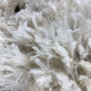 2026~ Cria coat, white zipper like locks - Alpaca Fleece ~ Good Vibrations