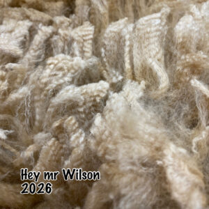 Reserve 2027~ Cria coat, shiny light fawn - Alpaca  Fleece ~ Hey Mr. Wilson