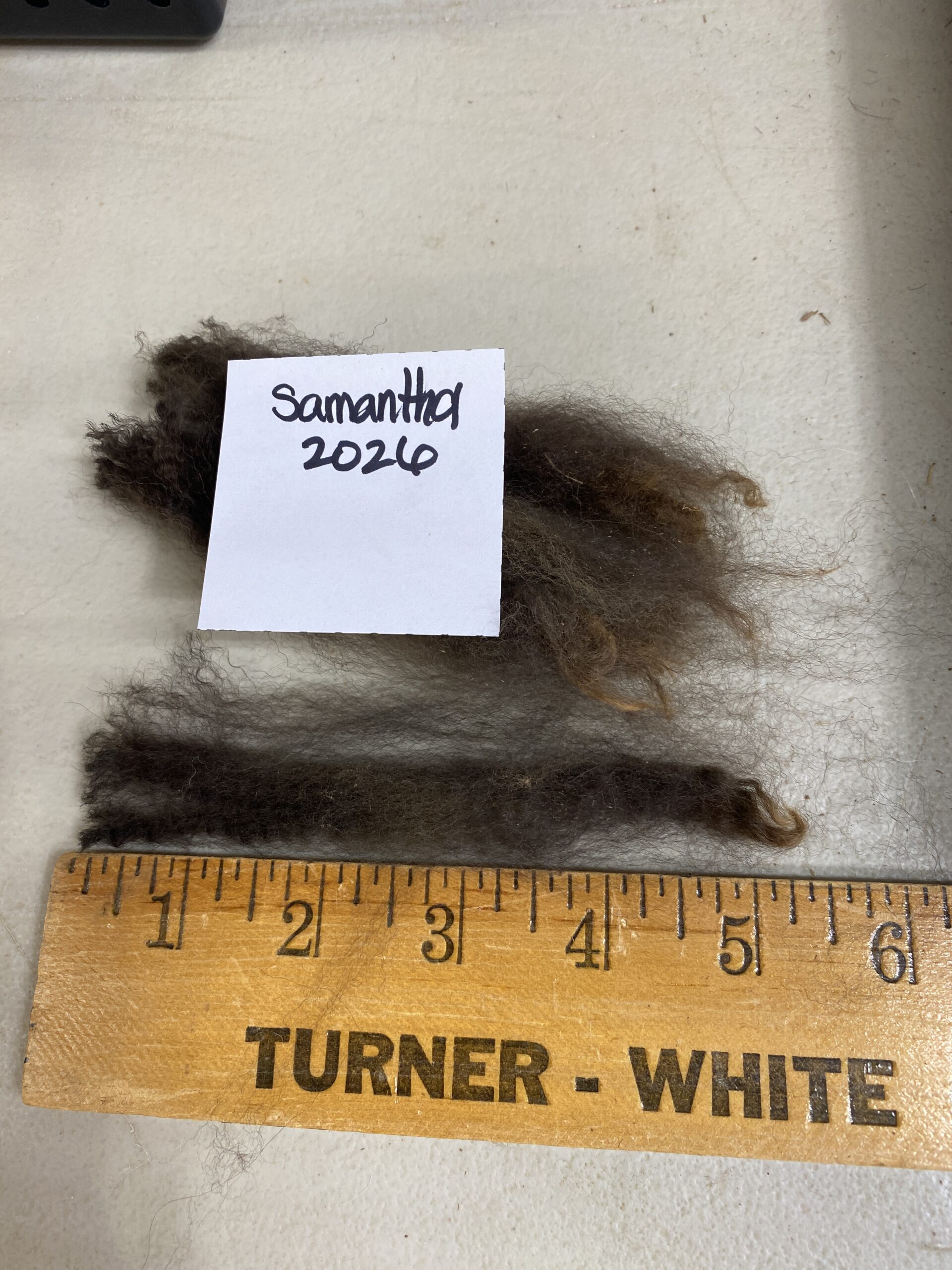 2026~ Cria coat, Black - Alpaca Fleece ~ Samantha - Image 3