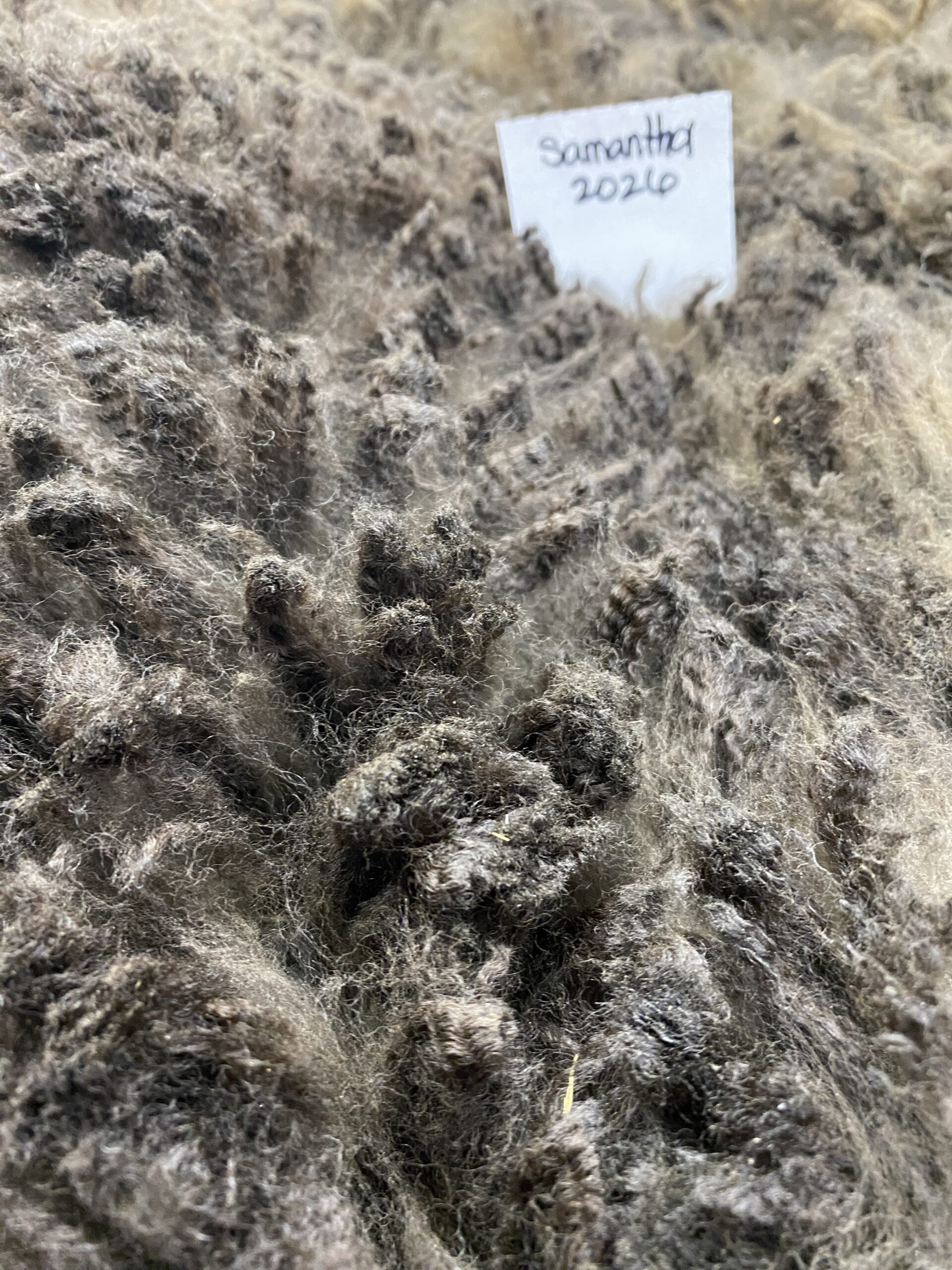 2026~ Cria coat, Black - Alpaca Fleece ~ Samantha - Image 8