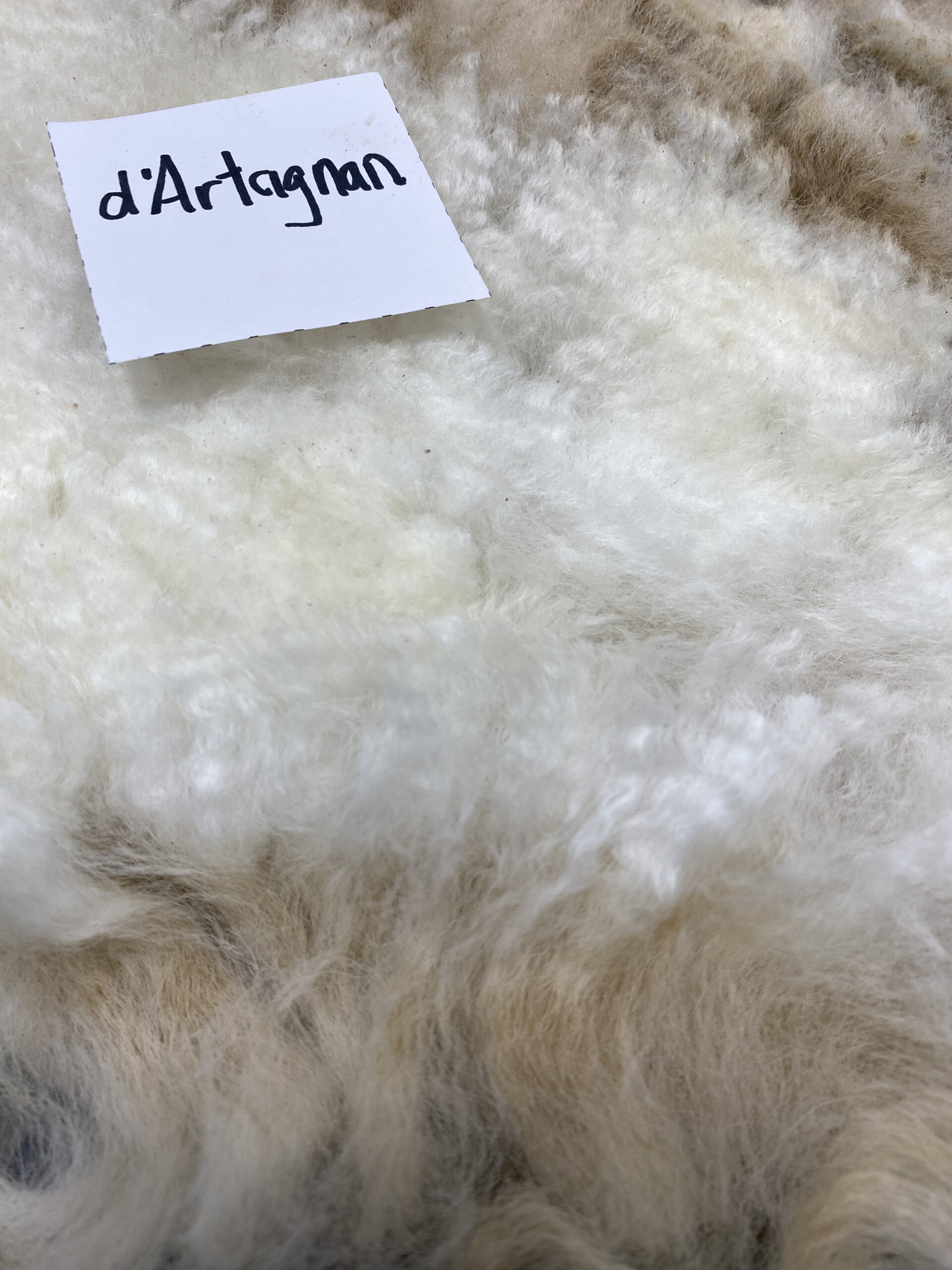 Alpaca Tri-color Roving Blend - Image 18