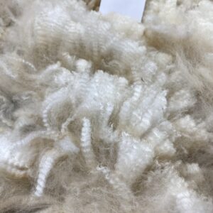 2026 ~Beige Alpaca Fleece ~ TWF Paisley